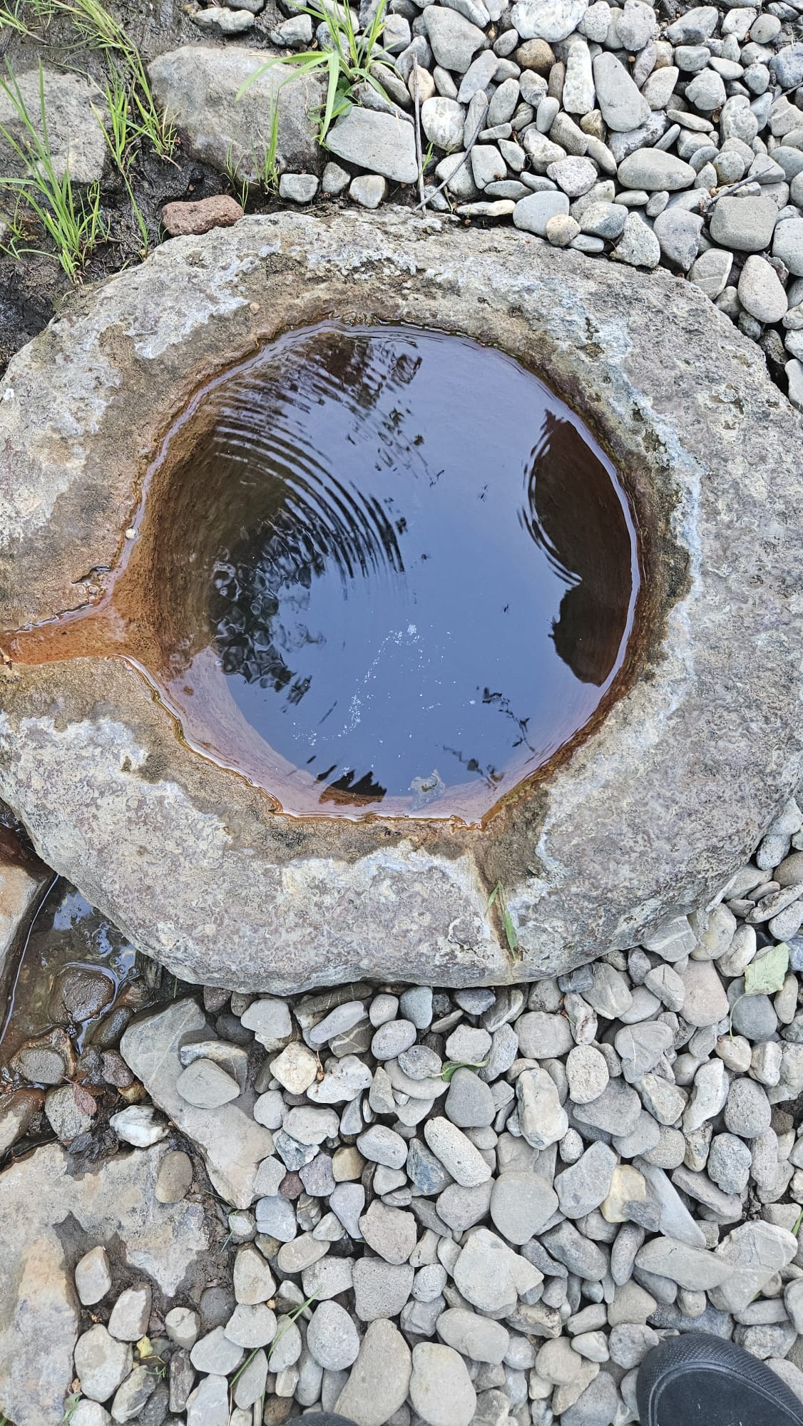 small spring Alt text