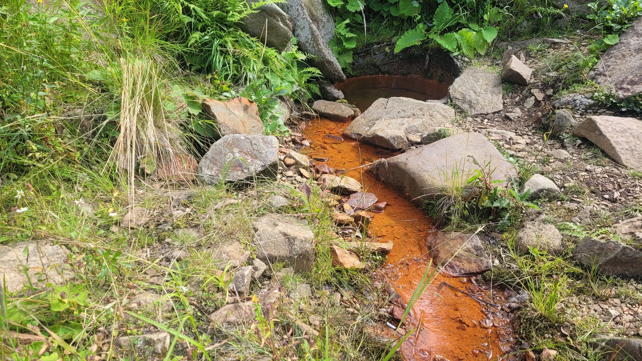 mineral water Alt text